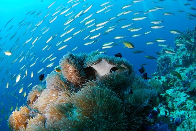 île Cuba