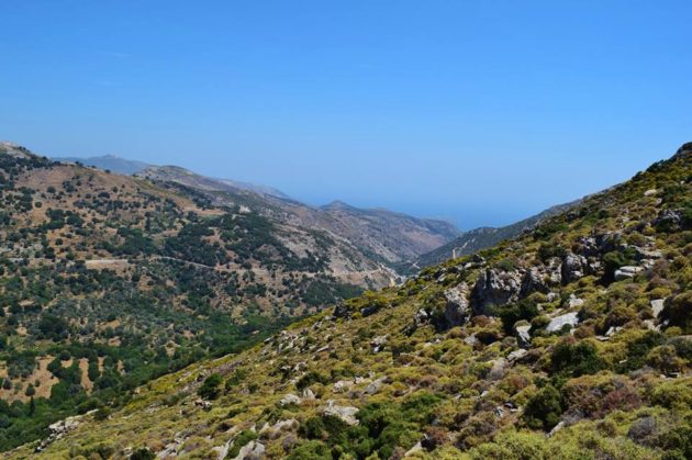 mont zeus naxos