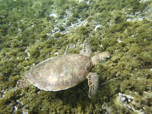 temperature guadeloupe avril