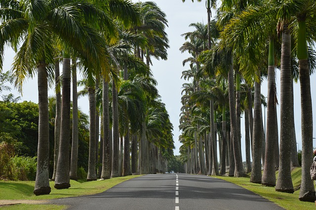meteo guadeloupe avril