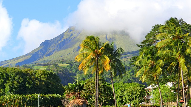 que faire en martinique en avril