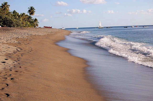 temperature martinique avril
