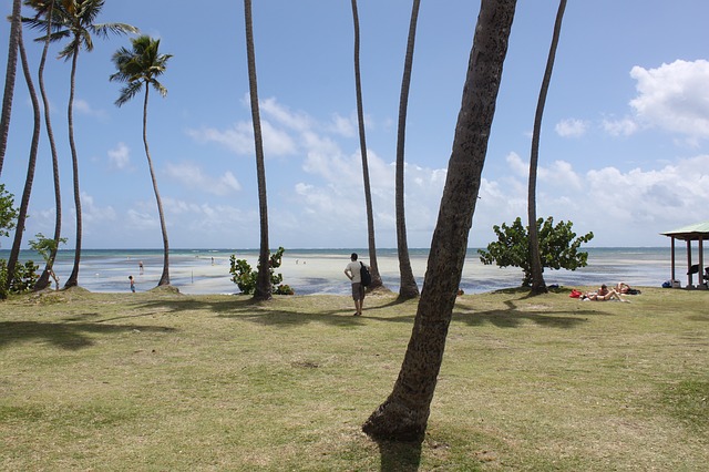 avis martinique en avril