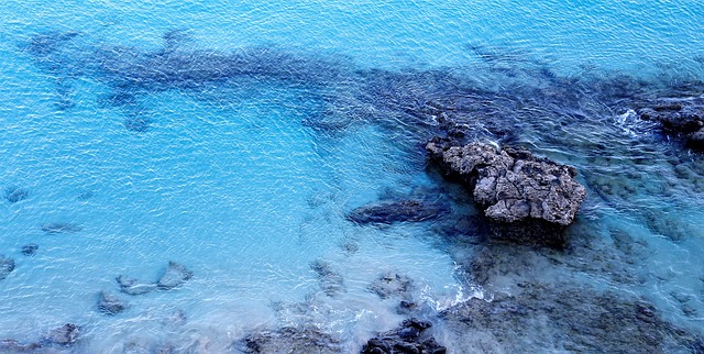 peut on se baigner dans les canaries en fevrier
