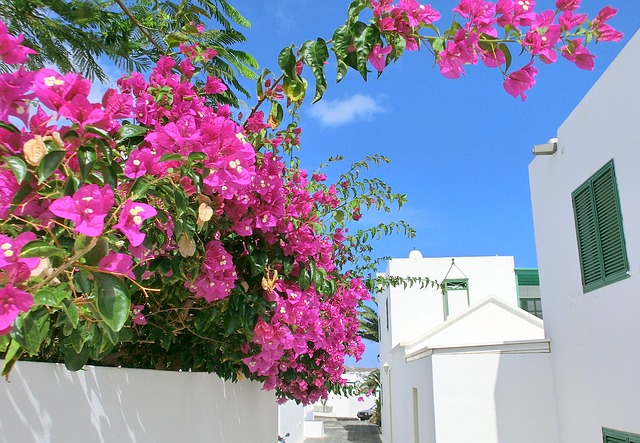 que faire a lanzarote en novembre