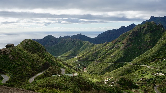 les canaries en décembre avis