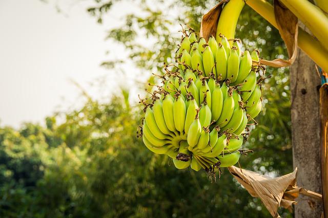 la guadeloupe septembre saison des pluies