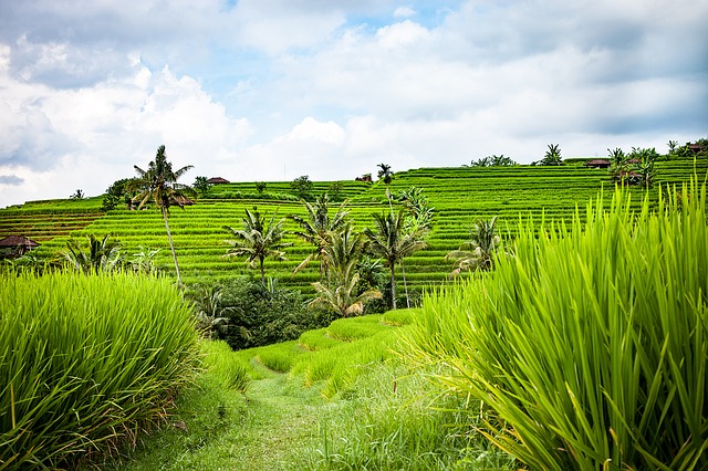 vacances a bali en juillet avis