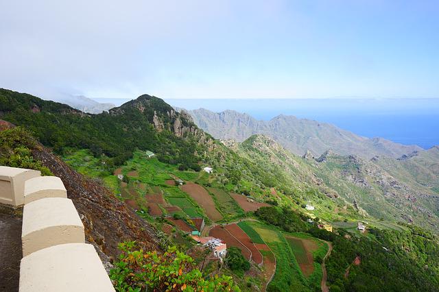 avis les canaries en novembre