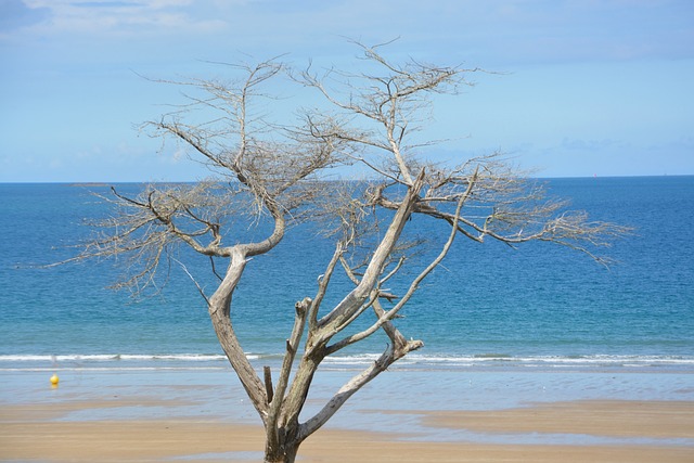 visiter la bretagne en 7 jours