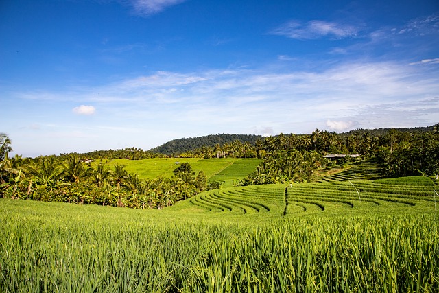 que faire a bali en octobre