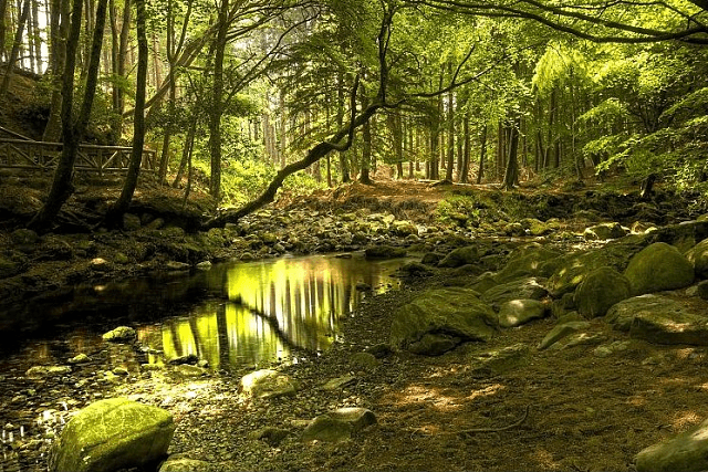 Road trip nature en Irlande 15 jours
