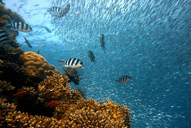 Lieux incontournables Costa Rica