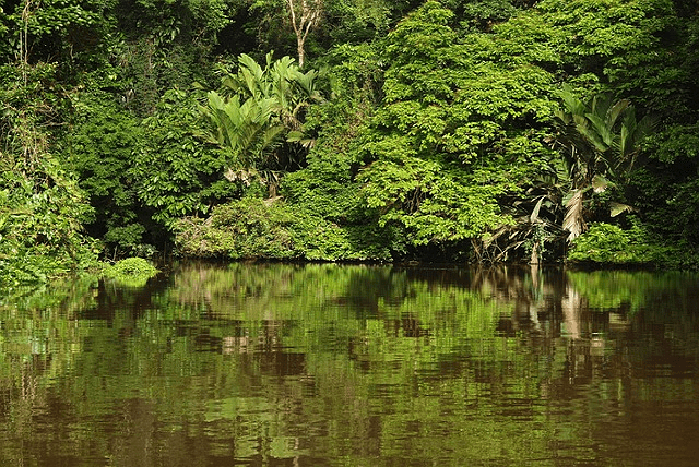 Expédition nature au Costa Rica