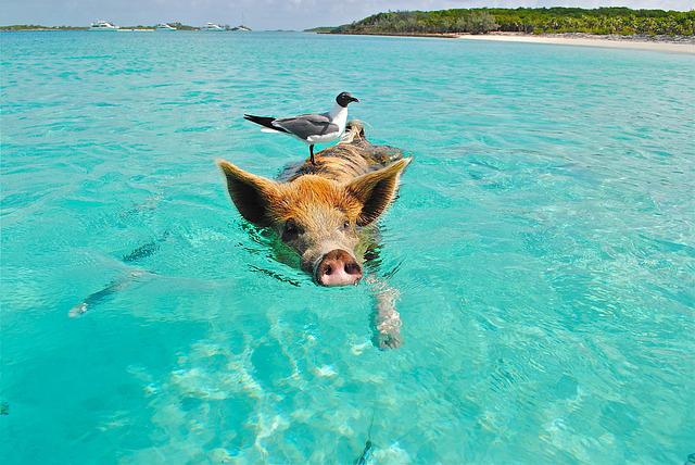 destination vacances de paques