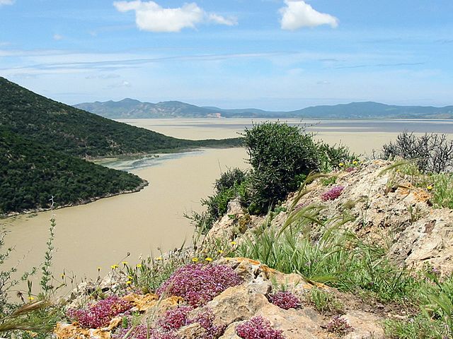 meilleures destinations tunisie