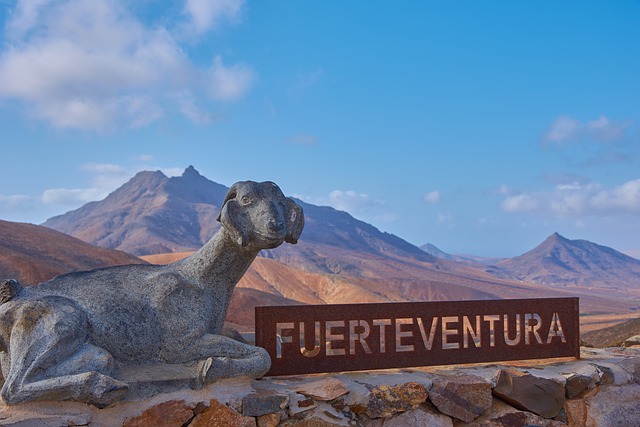 que faire a fuerteventura en decembre