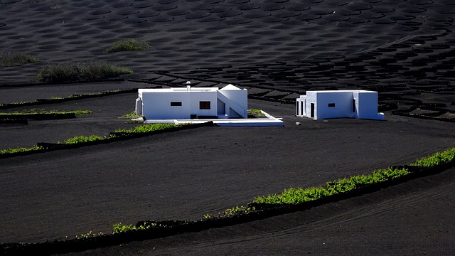 avis lanzarote en decembre