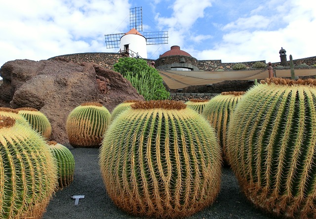 meteo lanzarote decembre