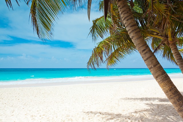 road trip en famille en Malaisie 15 jours