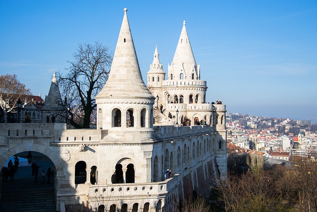 activité Budapest novembre