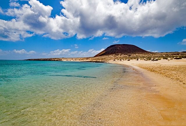 les canaries en novembre