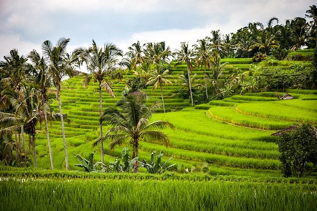 bali en février