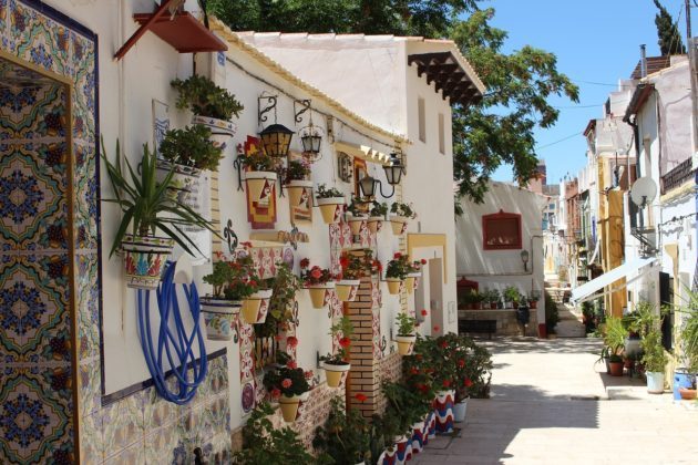 avis andalousie en mars